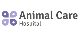 Animal Care Hospital - Veterinarian in Milwaukee, WI, US